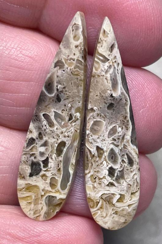 Freeform 37x9mm Indonesian Palm Root Cabochon Pair 35