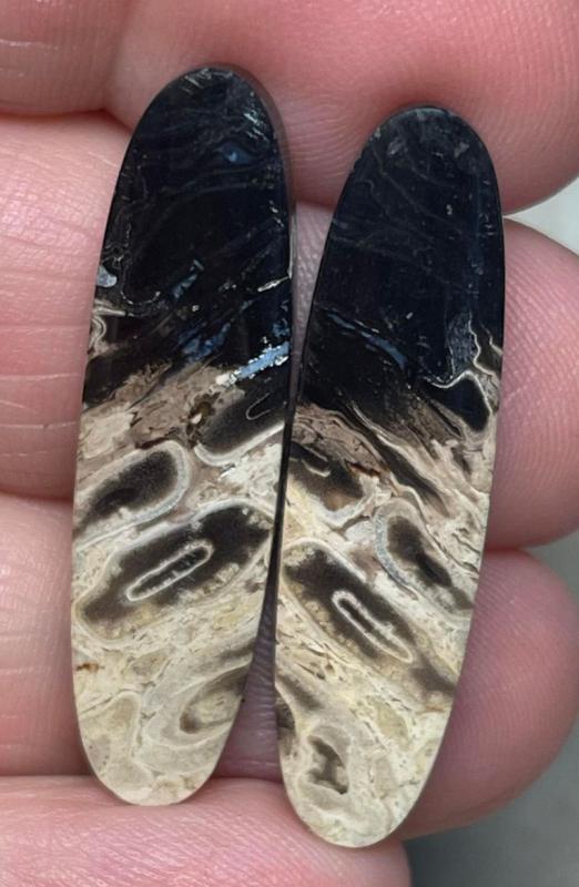 Oval 35x9mm Indonesian Palm Root Cabochon Pair 36