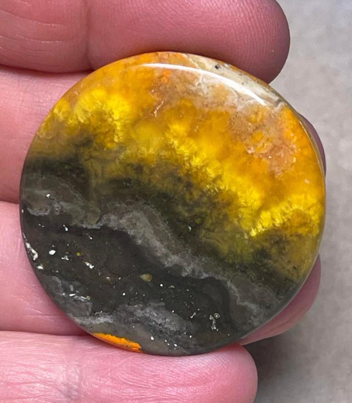 Round 37x37mm Bumble Bee Jasper Cabochon 61