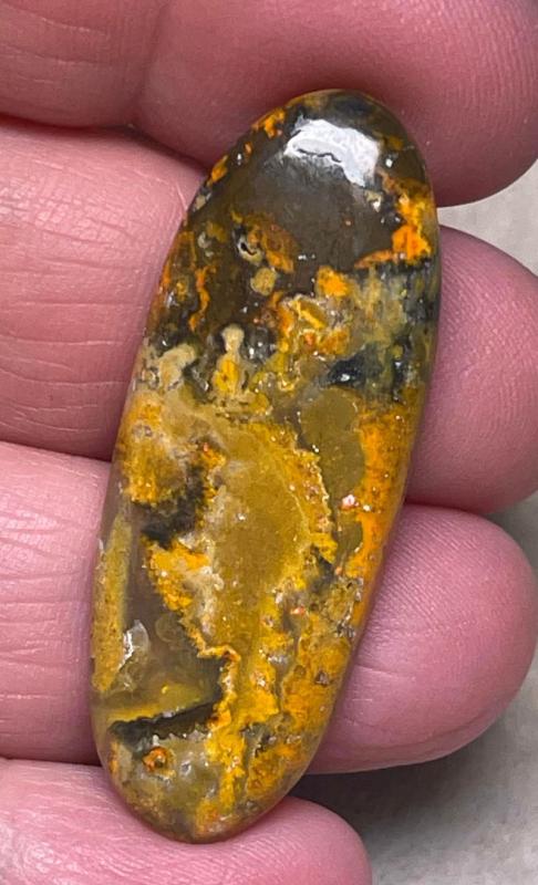 Oval 43x16mm Bumble Bee Jasper Cabochon 65