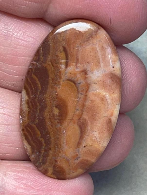 Oval 36x22mm Dryhead Agate Cabochon 11