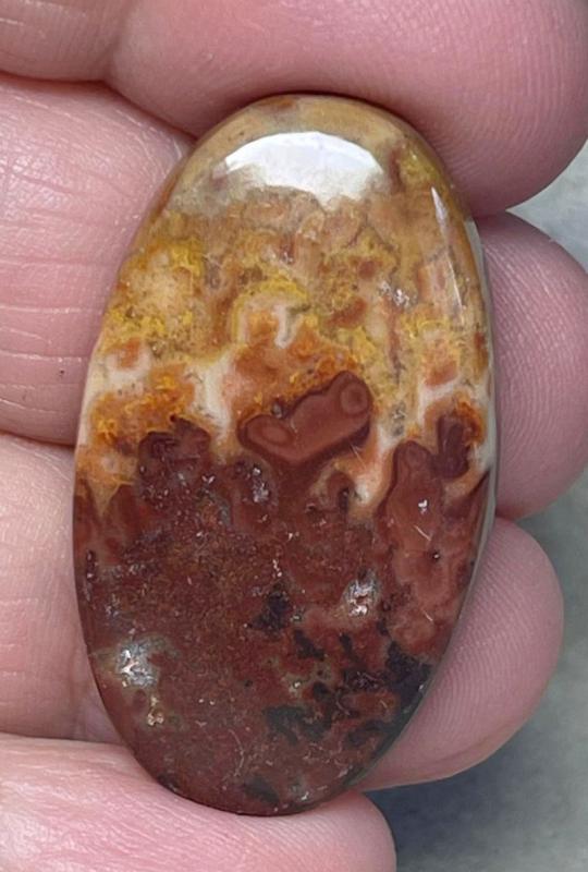 Oval 36x21mm Dryhead Agate Cabochon 20
