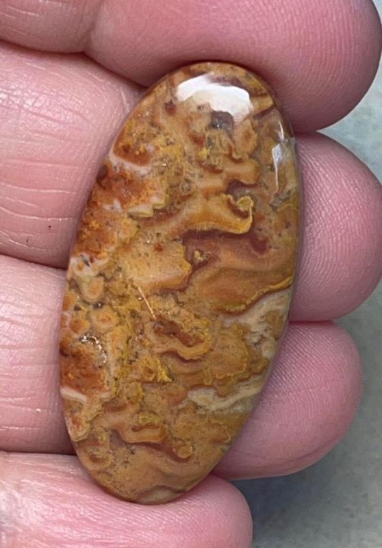 Oval 38x19mm Dryhead Agate Cabochon 42
