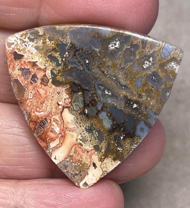 Freeform 34x34mm Petrified Pocket Root Cabochon 28