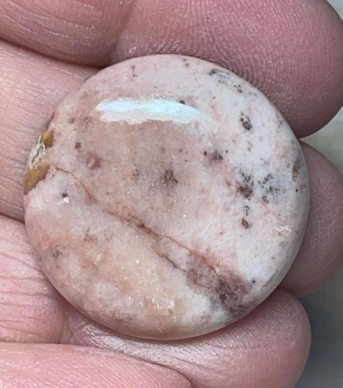 Round 27x27mm Butterfly Wing Jasper Cabochon 23