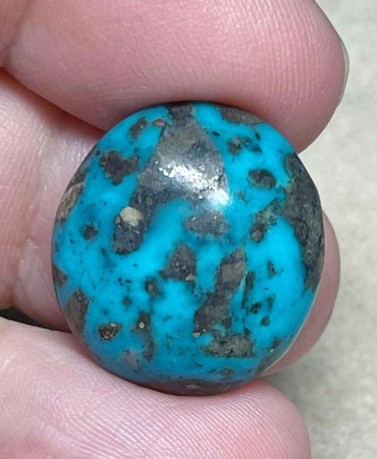 Oval 21x19mm P Turquoise Cabochon 52