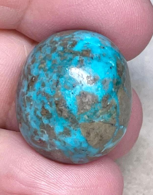Oval 23x20mm P Turquoise Cabochon 61