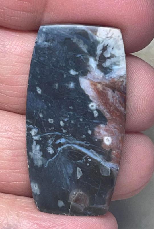 Freeform 38x20mm Oregon Sunset Jasper Cabochon 14