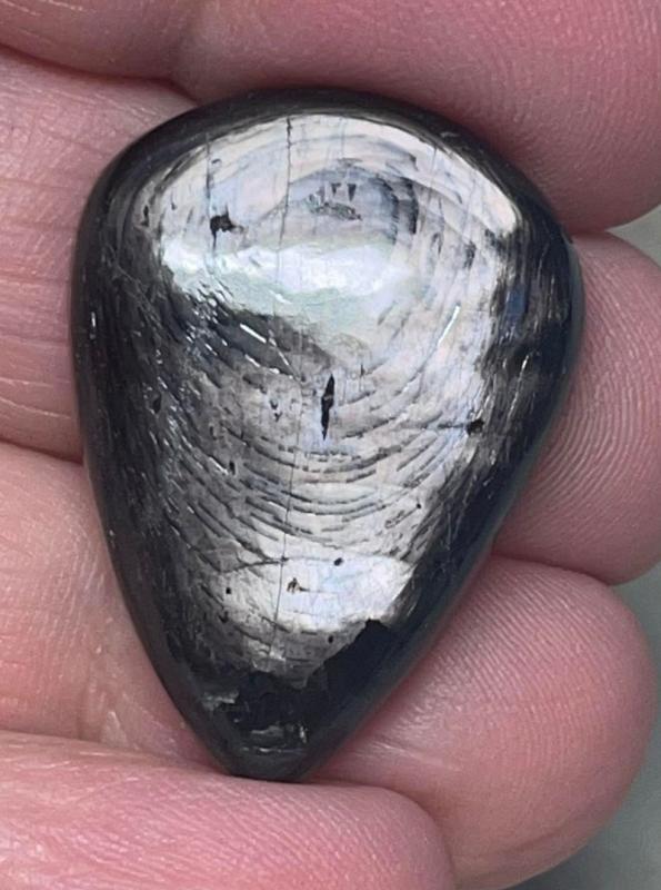 Teardrop 30x22mm Hypersthene Cabochon 18
