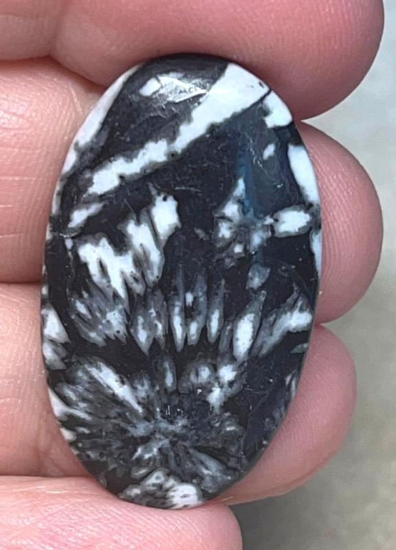 Oval 34x20mm Chrysanthemum Stone Cabochon 07