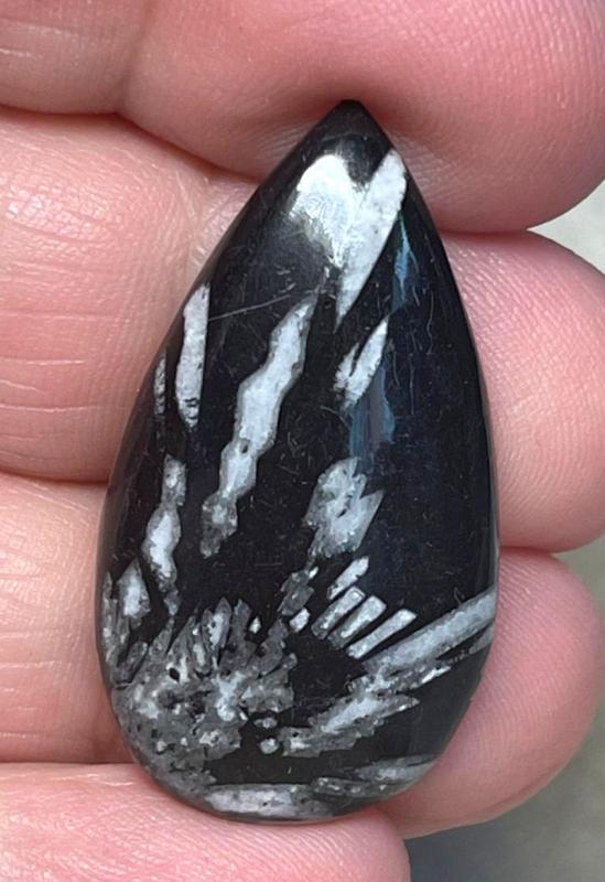 Teardrop 34x19mm Chrysanthemum Stone Cabochon 12