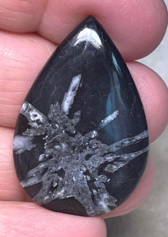 Teardrop 37x25mm Chrysanthemum Stone Cabochon 13