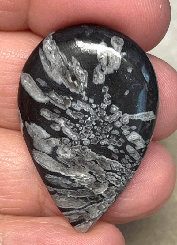 Teardrop 36x24mm Chrysanthemum Stone Cabochon 20