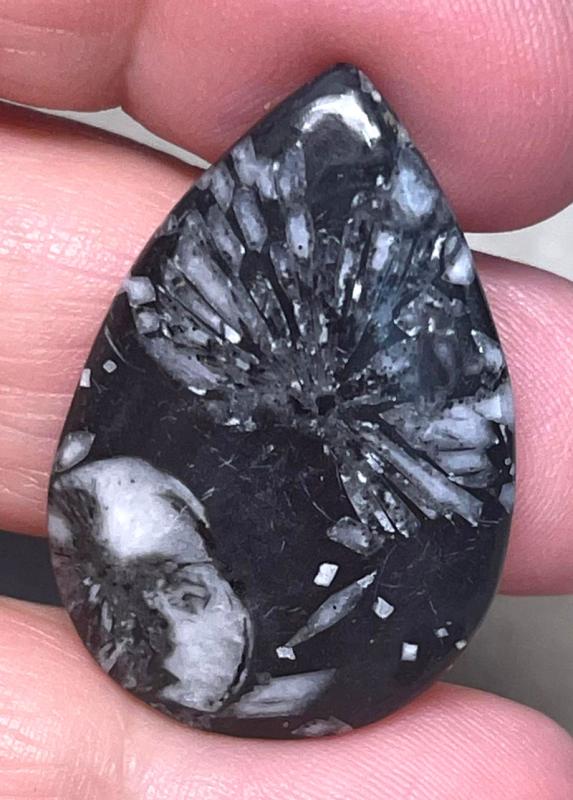 Teardrop 33x22mm Chrysanthemum Stone Cabochon 29