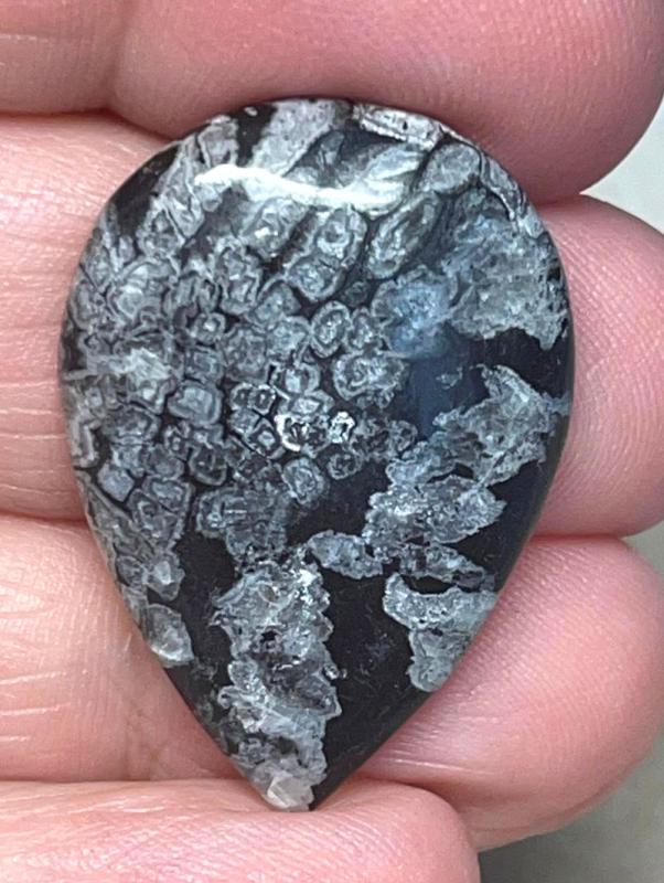 Teardrop 31x22mm Chrysanthemum Stone Cabochon 30