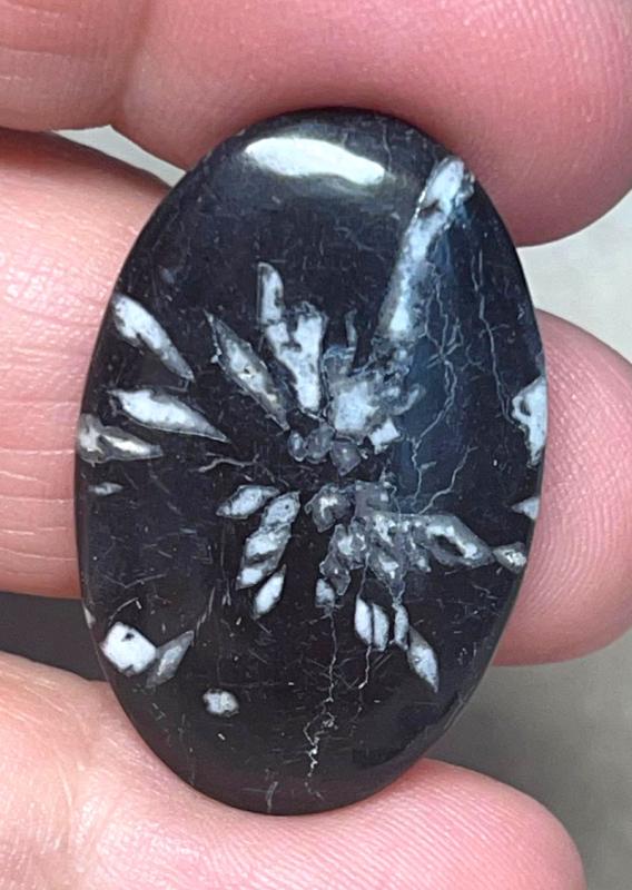 Oval 32x20mm Chrysanthemum Stone Cabochon 33