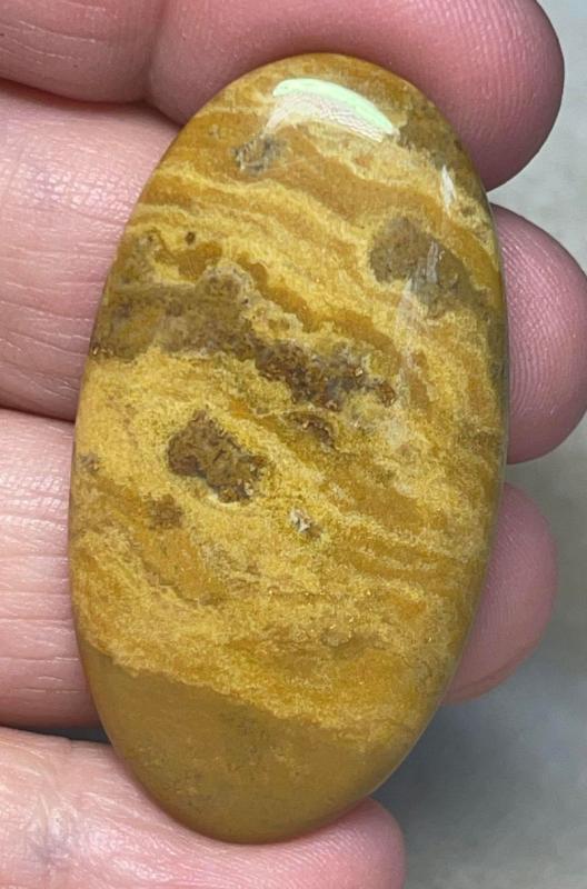 Oval 48x25mm Wood Jasper Cabochon 11