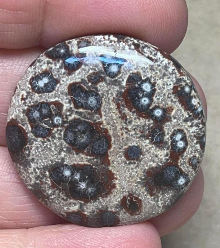 Round 32x32mm Viper Jasper Cabochon 26