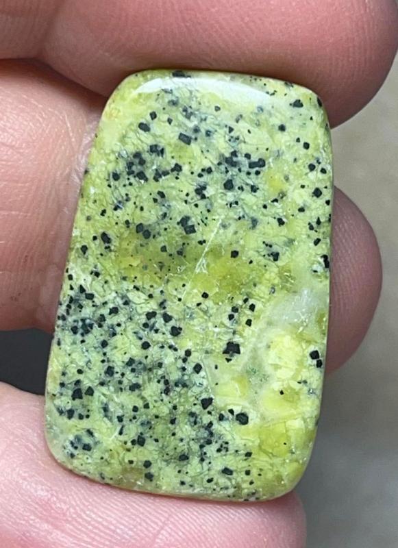 Freeform 29x19mm Lizardite Cabochon 34