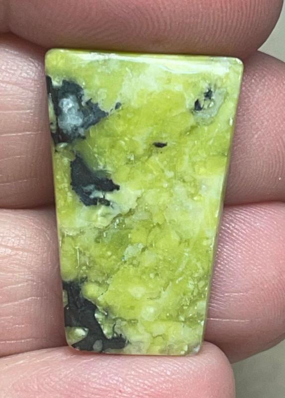 Freeform 26x17mm Lizardite Cabochon 45