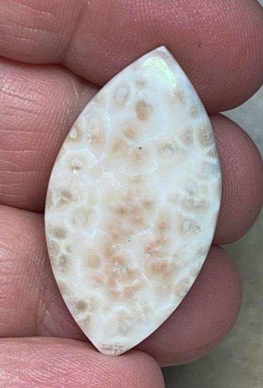 Marquise 36x19mm Natrolite Cabochon 16
