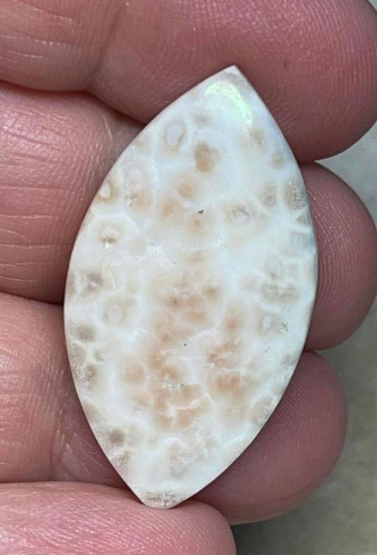 Marquise 36x19mm Natrolite Cabochon 16