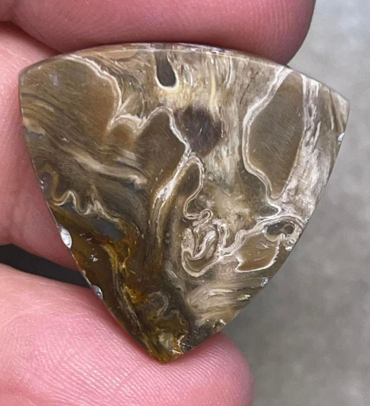 Freeform 26x26mm Petrified Palm Root Cabochon 22