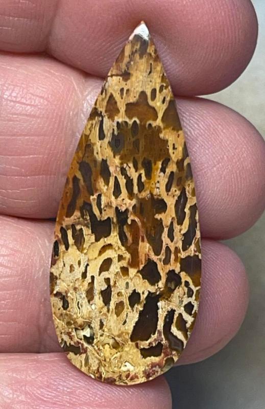 Teardrop 41x17mm Petrified Pocket Root Cabochon 38