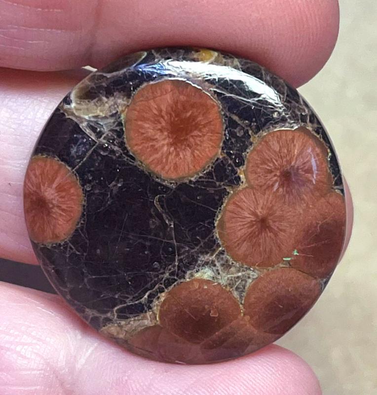 Round 31x31mm Peanut Obsidian Cabochon 03