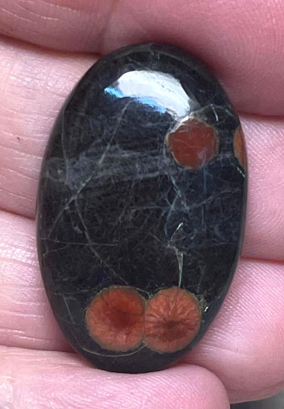 Oval 32x20mm Peanut Obsidian Cabochon 08