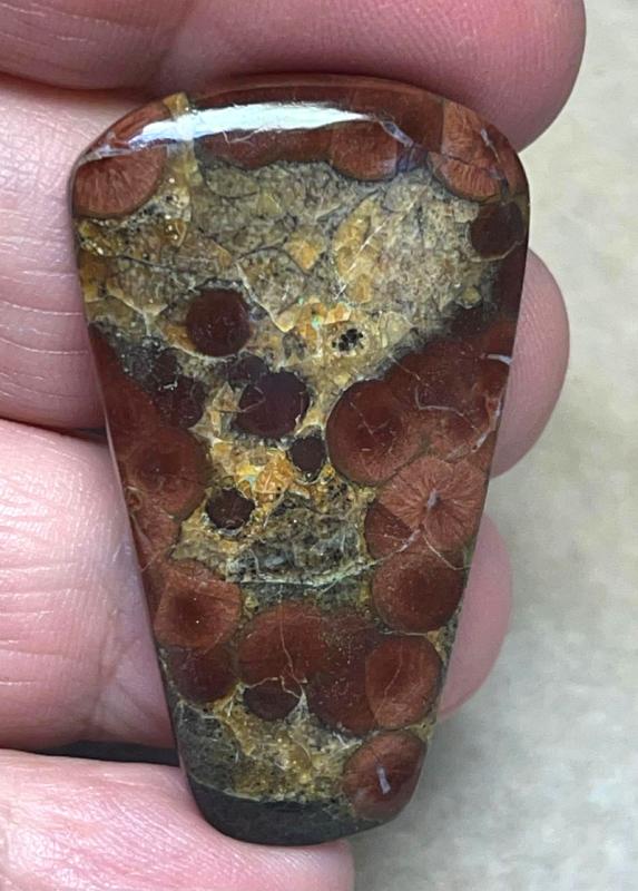 Freeform 42x25mm Peanut Obsidian Cabochon 10