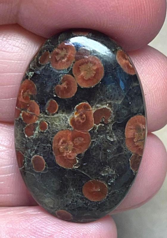 Oval 33x22mm Peanut Obsidian Cabochon 13