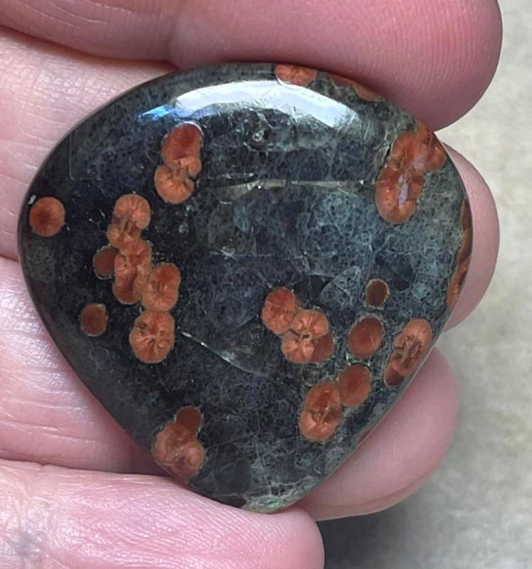 Teardrop 34x33mm Peanut Obsidian Cabochon 15