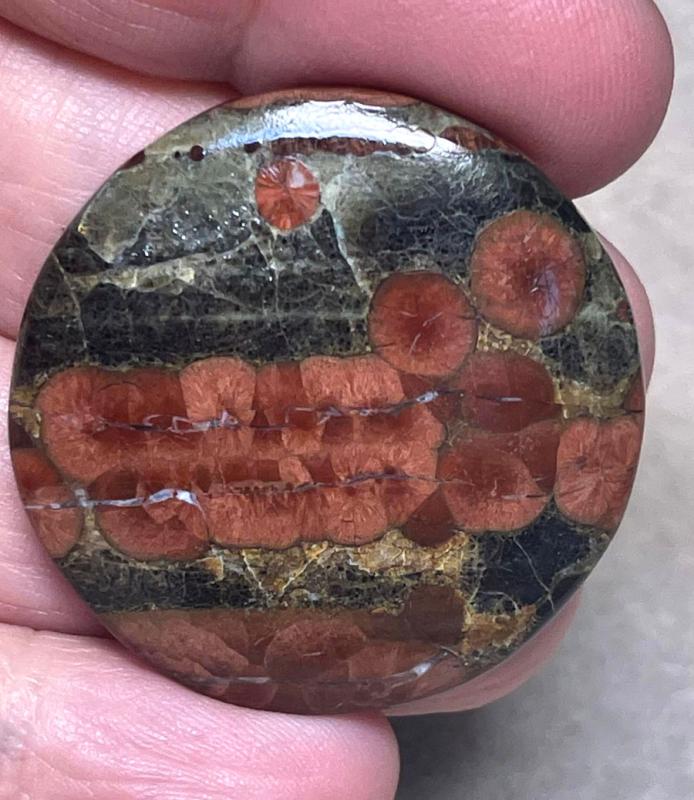 Round 35x35mm Peanut Obsidian Cabochon 16