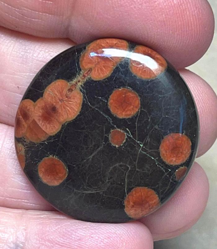 Round 31x31mm Peanut Obsidian Cabochon 17