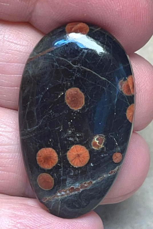 Freeform 37x22mm Peanut Obsidian Cabochon 18