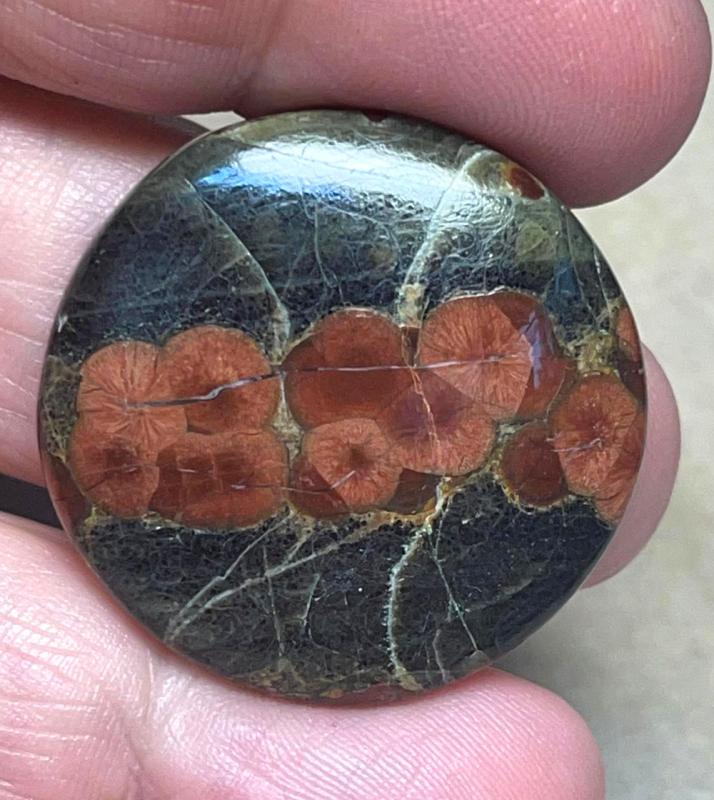 Round 31x31mm Peanut Obsidian Cabochon 19