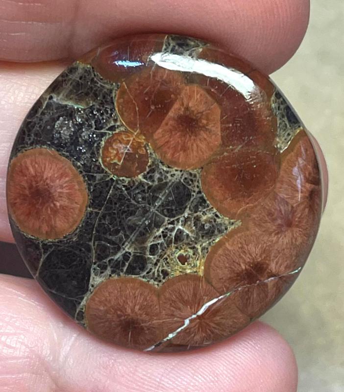 Round 31x31mm Peanut Obsidian Cabochon 25