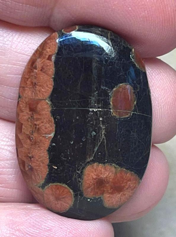Oval 34x23mm Peanut Obsidian Cabochon 26