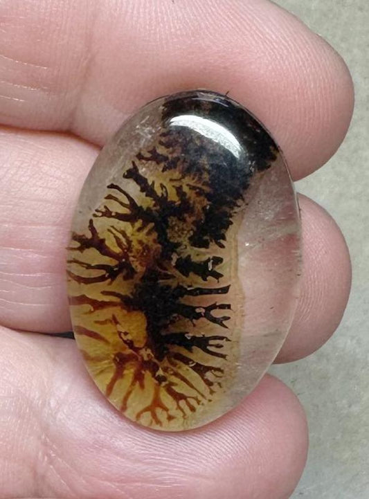 Oval 29x19mm Scenic Dendrite Agate Doublet Cabochon 09