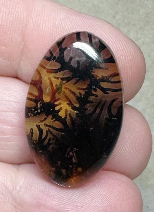 Oval 29x18mm Scenic Dendrite Agate Doublet Cabochon 19