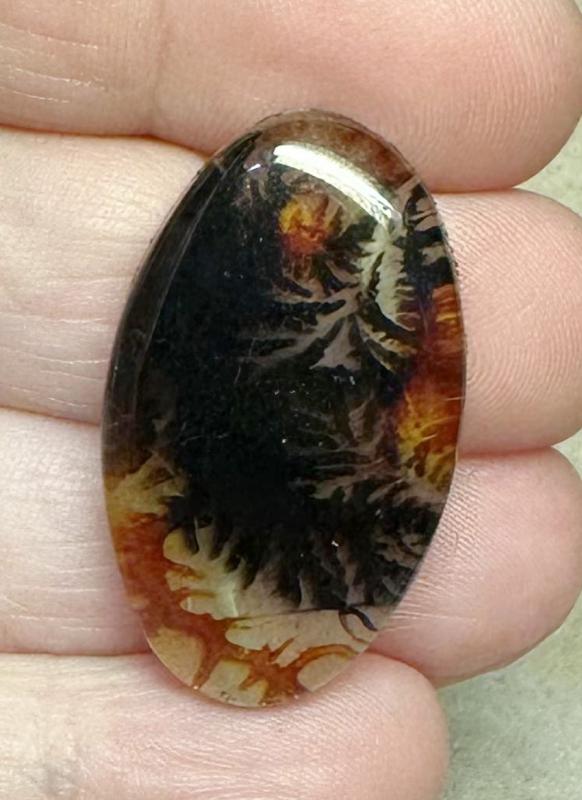 Oval 33x19mm Scenic Dendrite Agate Doublet Cabochon 23