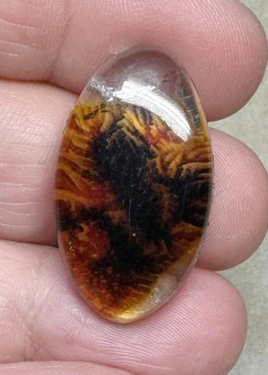 Oval 30x17mm Scenic Dendrite Agate Doublet Cabochon 27
