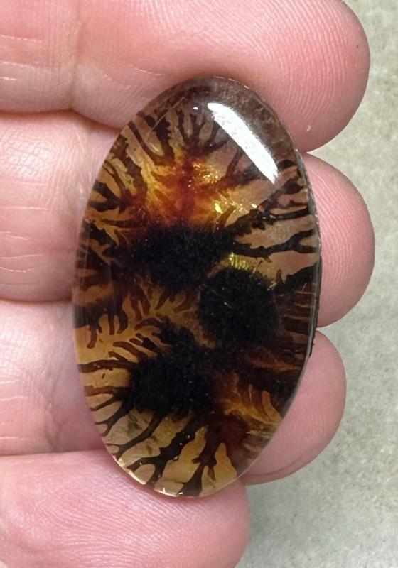 Oval 34x19mm Scenic Dendrite Agate Doublet Cabochon 28