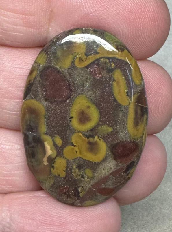 Oval 33x23mm Fruit Jasper Cabochon 16