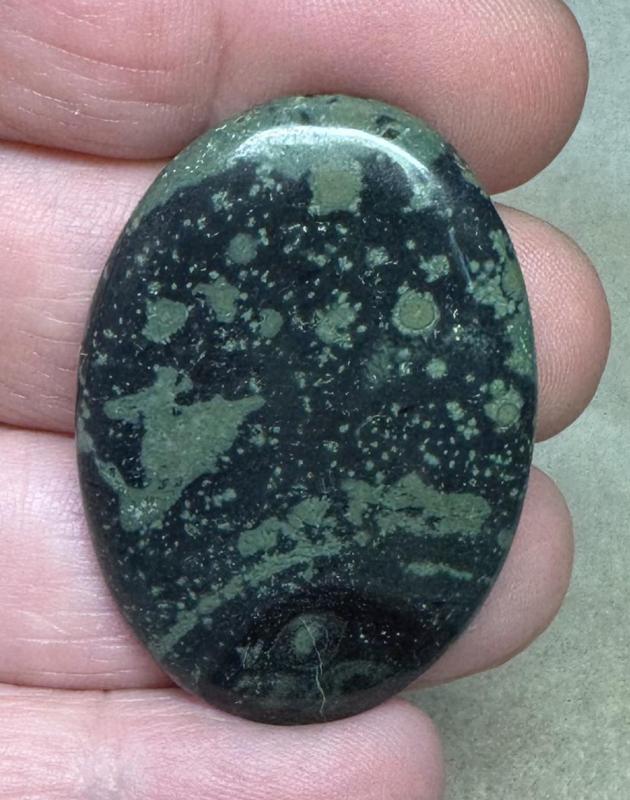 Oval 39x28mm Kambaba Jasper Cabochon 01