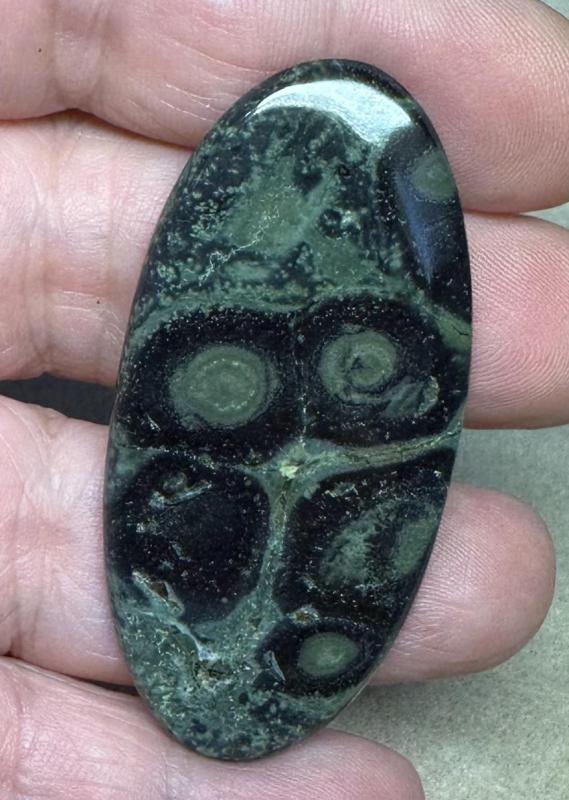 Oval 55x26mm Kambaba Jasper Cabochon 16