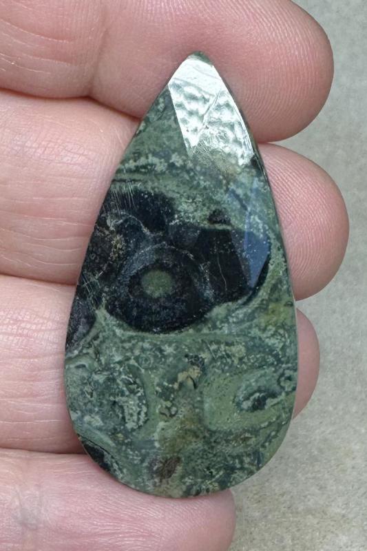 Teardrop 44x23mm Faceted Kambaba Jasper Cabochon 24