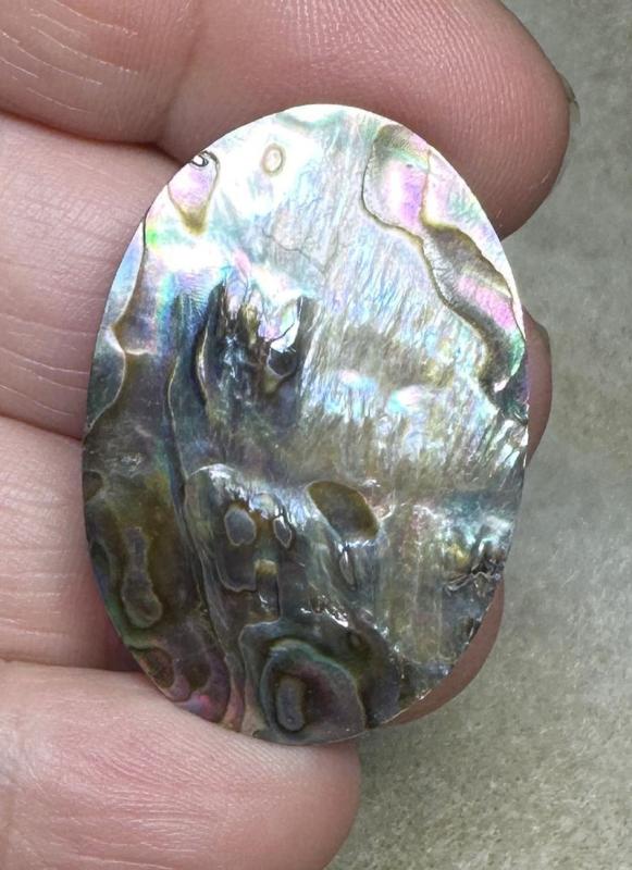 Oval 36x24mm Paua Shell Cabochon 06