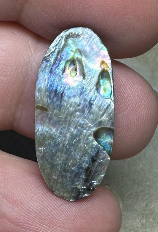 Oval 27x12mm Paua Shell Cabochon 08